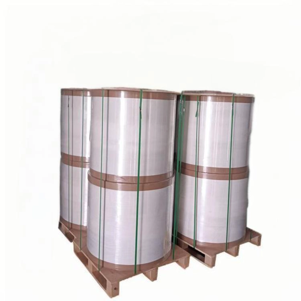 BPA Gratis Hoogwaardige Kassabonnen Jumbo Rollen Printen